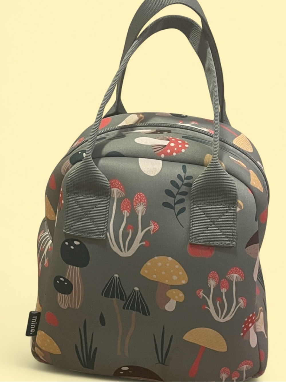 Mine mushroom 🍄 lunchbox